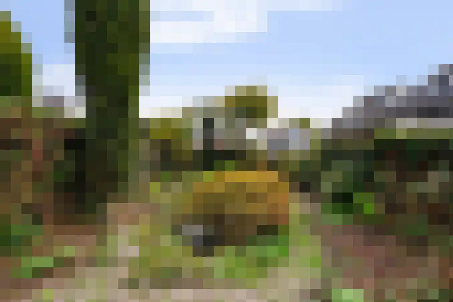 Jan van Eijckstraat 11 Oisterwijk thumbnail 39
