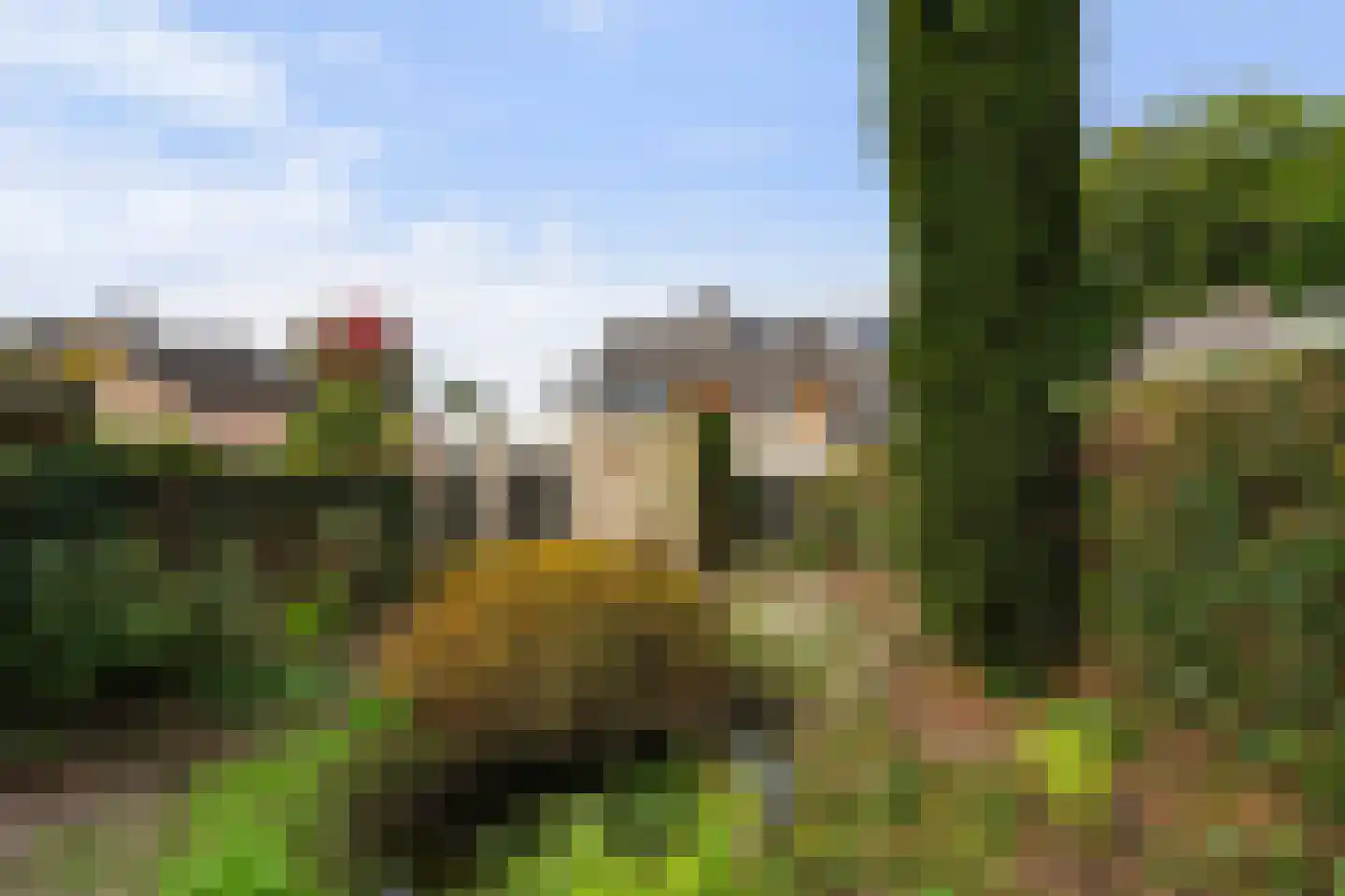 Jan van Eijckstraat 11 Oisterwijk thumbnail 4