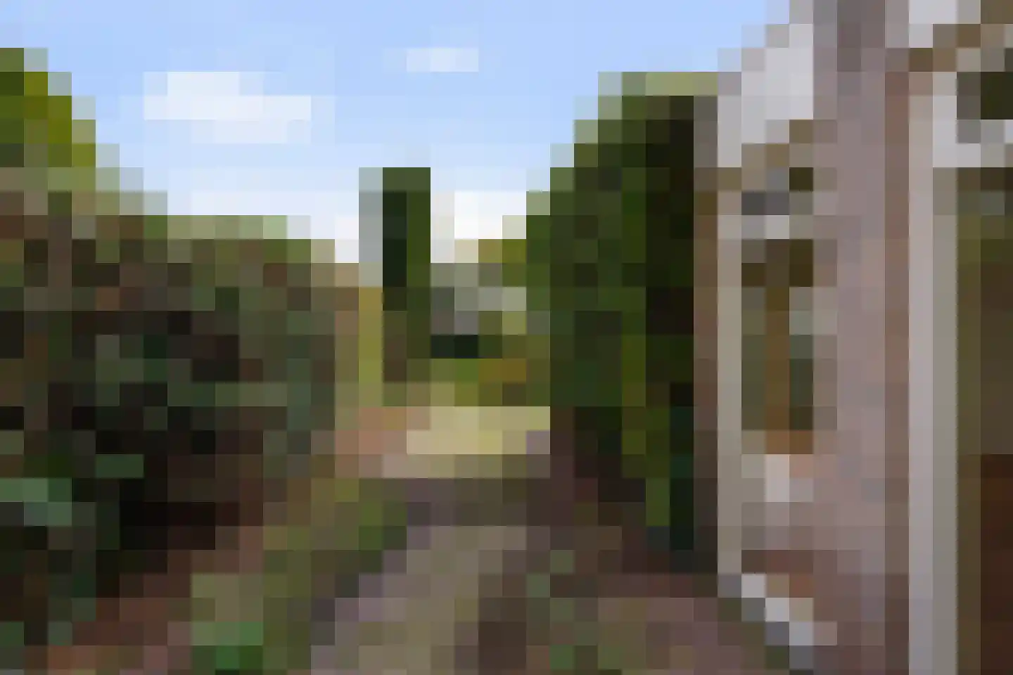 Jan van Eijckstraat 11 Oisterwijk thumbnail 6