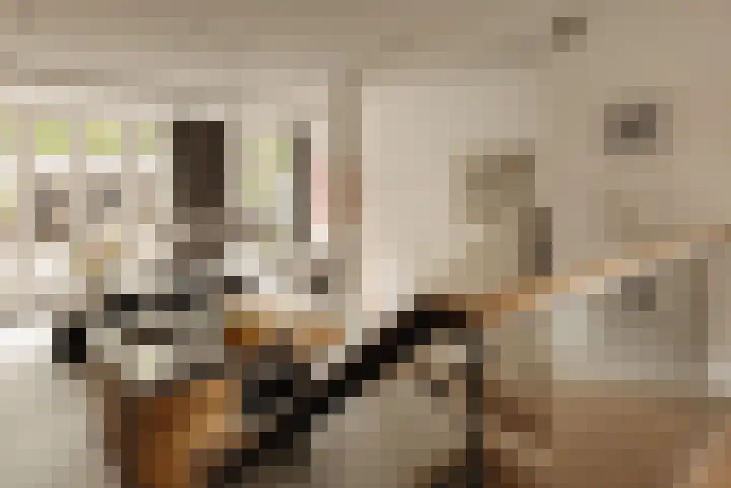 Jan van Eijckstraat 22 H Amsterdam thumbnail 9