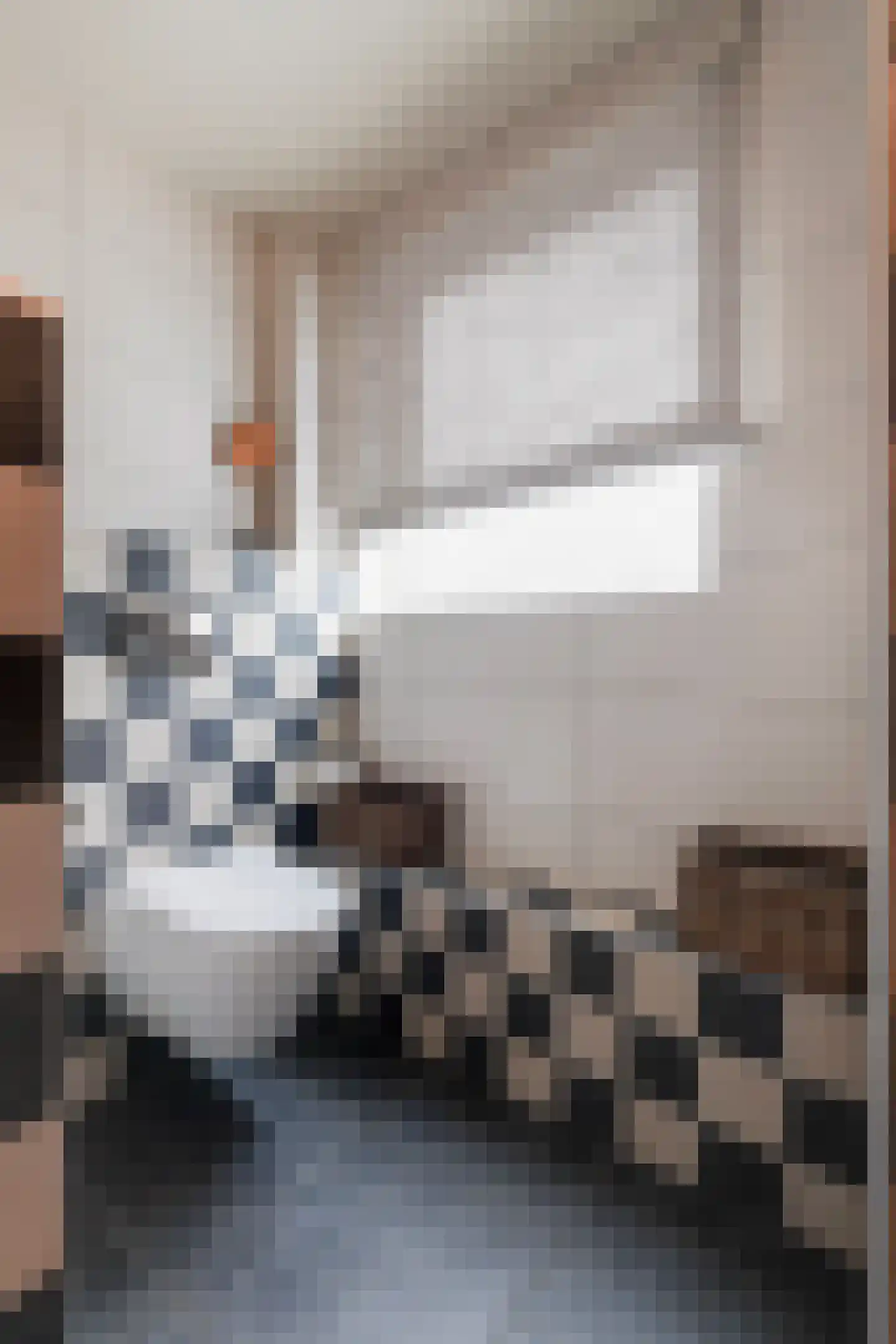 Jan van Eijckstraat 24 Oisterwijk thumbnail 24