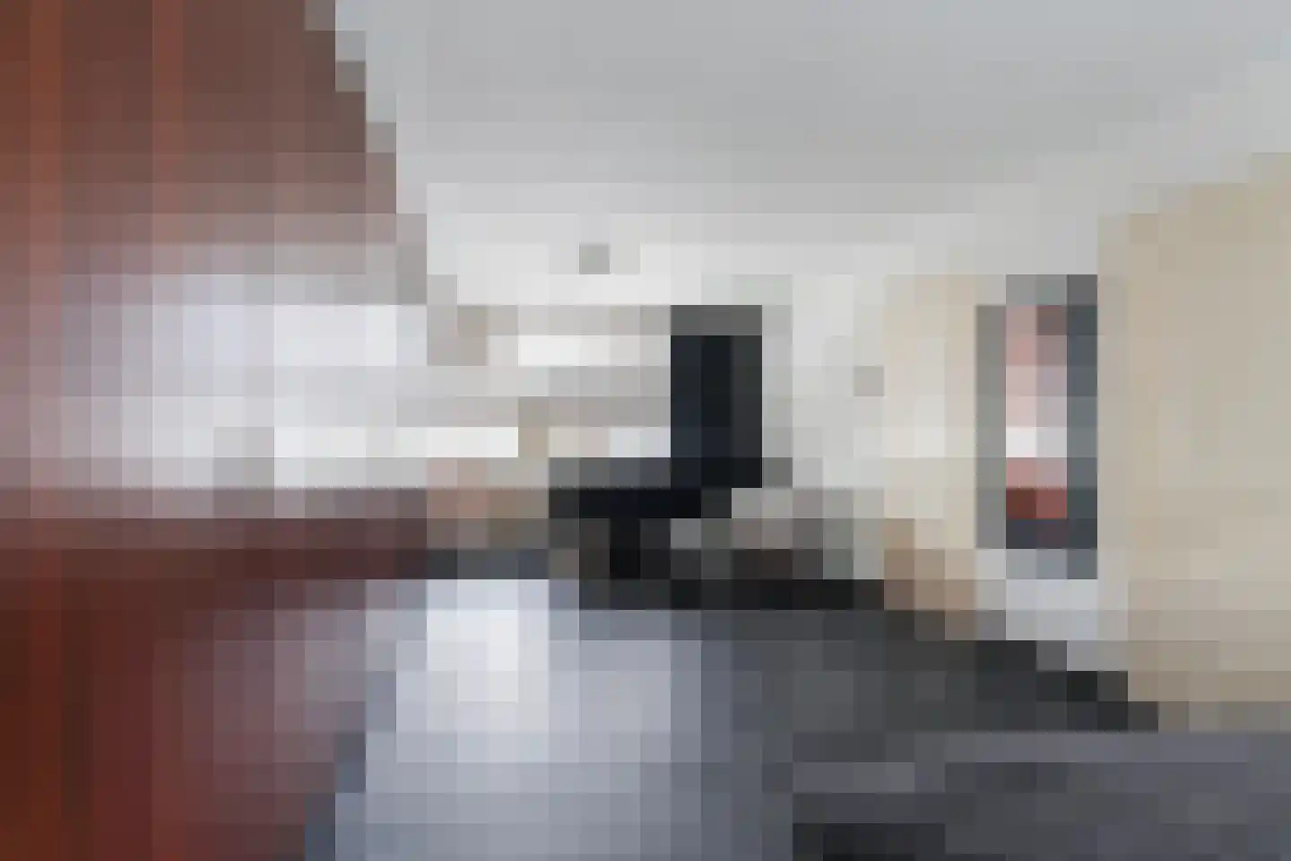 Jan van Eijckstraat 24 Oisterwijk thumbnail 28