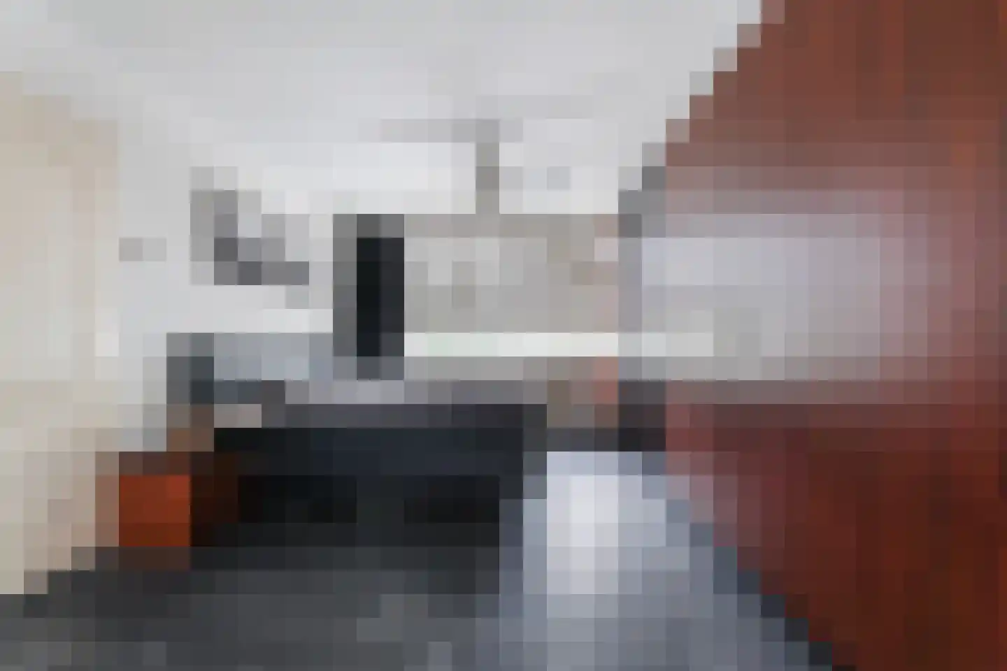 Jan van Eijckstraat 24 Oisterwijk thumbnail 29