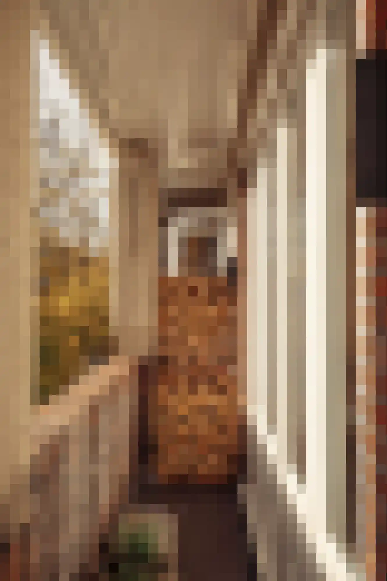 Jan van Eijckstraat 26 1 Amsterdam thumbnail 13