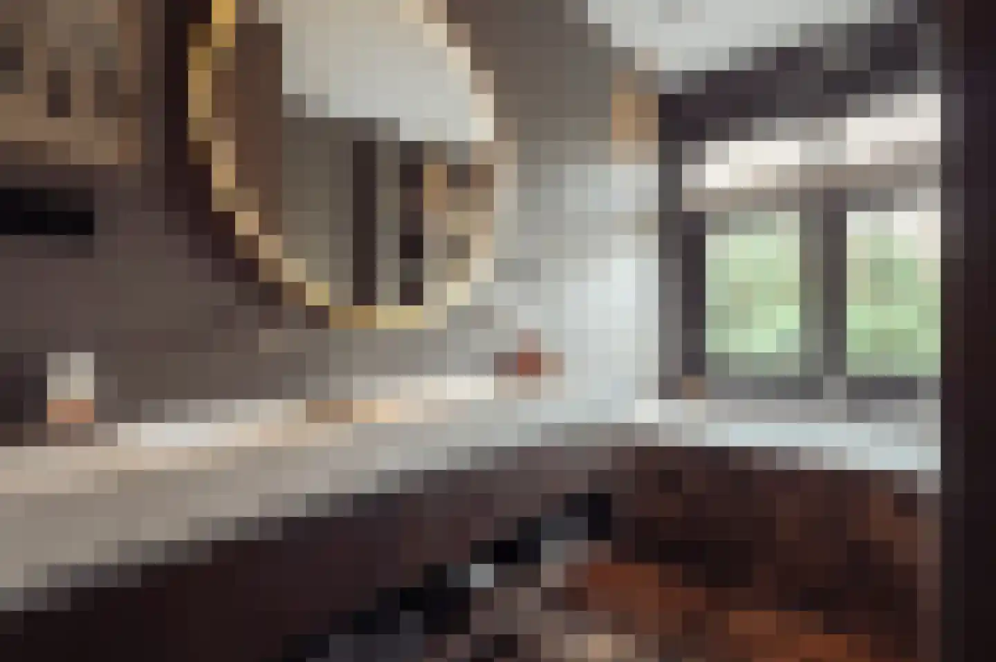 Jan van Eijckstraat 26 1 Amsterdam thumbnail 17