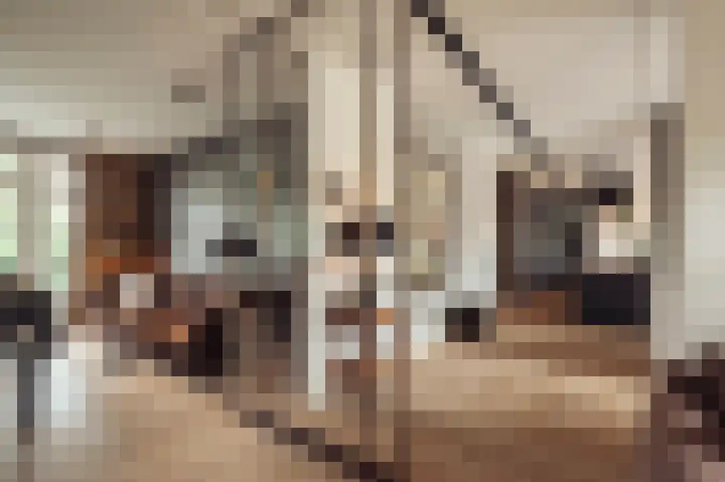 Jan van Eijckstraat 26 1 Amsterdam thumbnail 4