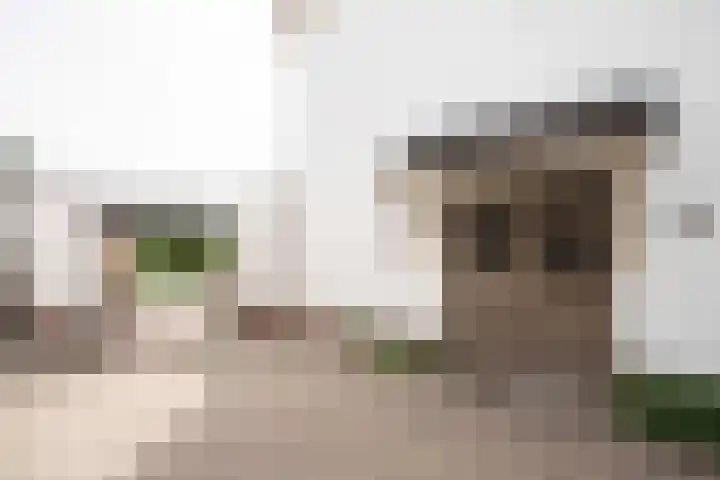 Jan van Eijckstraat 29 Oisterwijk thumbnail 7