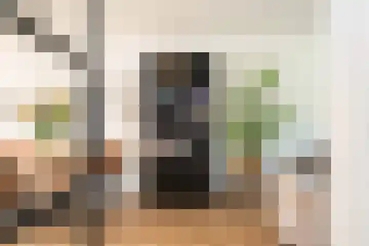 Jan van Eijckstraat 29 Oisterwijk thumbnail 9
