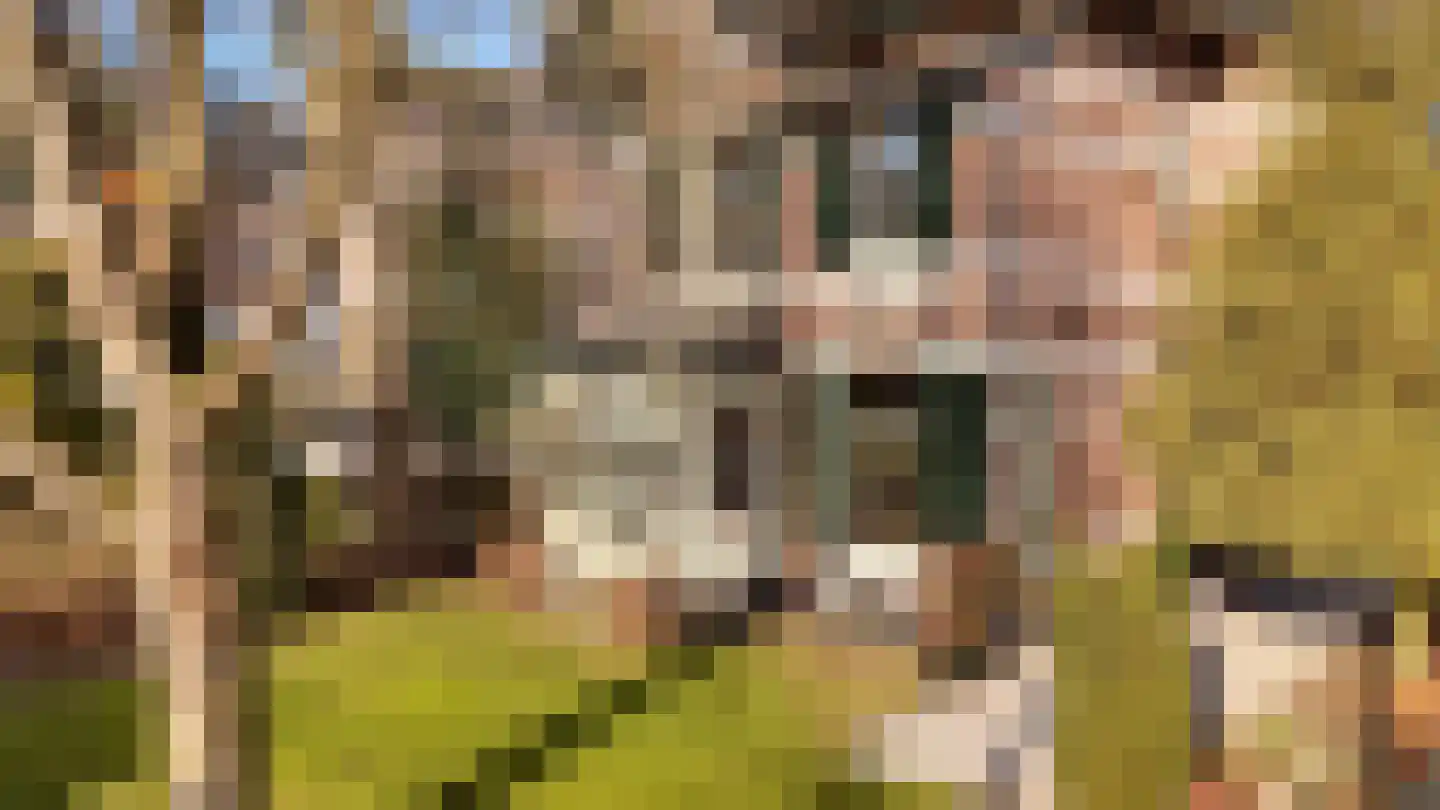 Jan van Embdenweg 2 Oosterbeek thumbnail 46