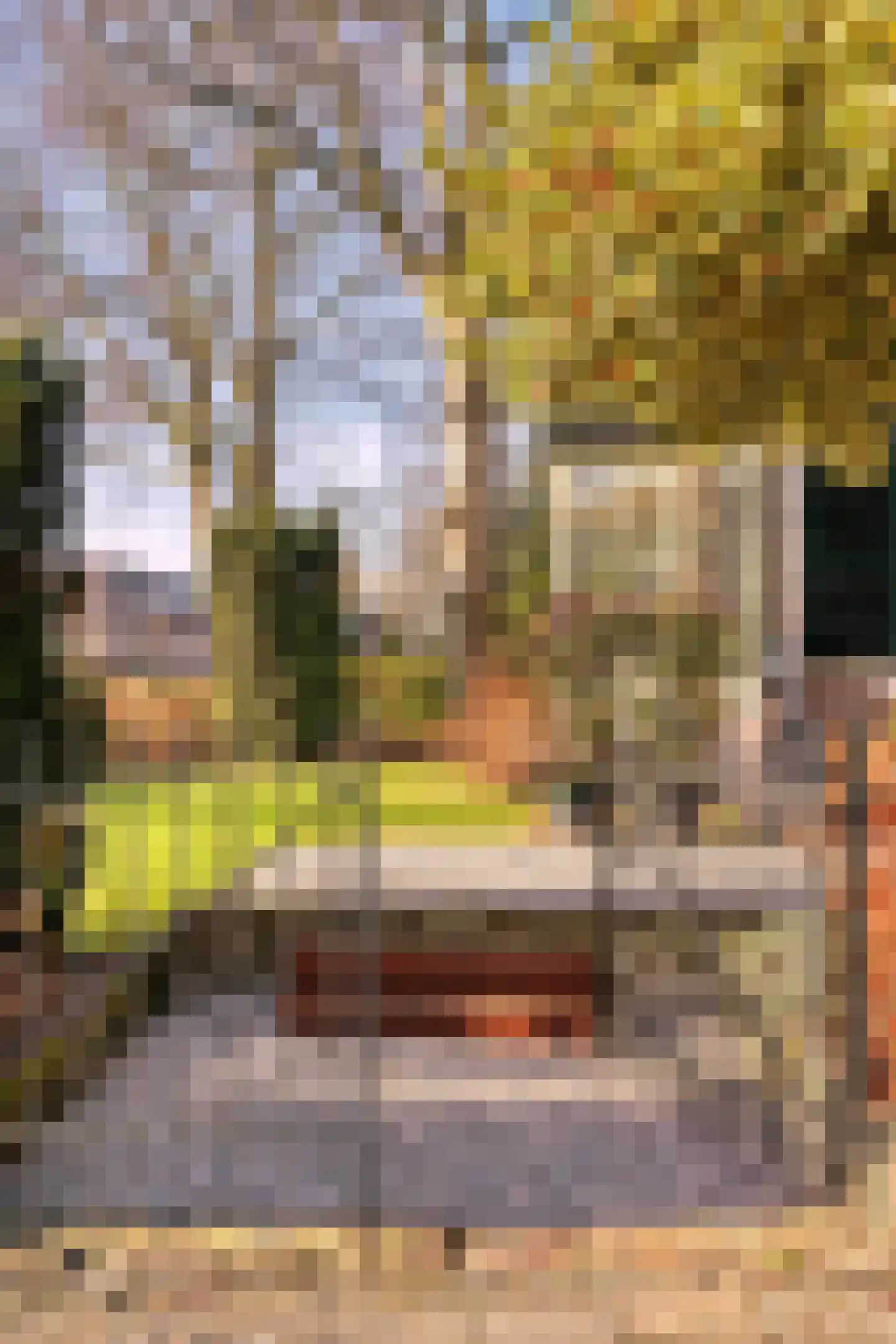 Jan van Embdenweg 2 Oosterbeek thumbnail 65