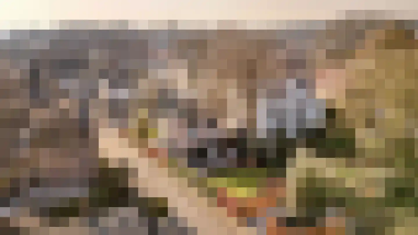 Jan van Embdenweg 2 Oosterbeek thumbnail 68