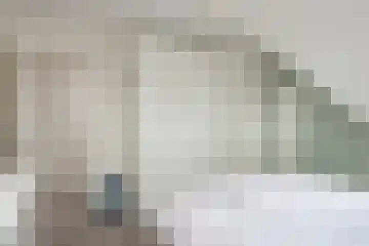 Jan van Embdenweg 22 Oosterbeek thumbnail 36