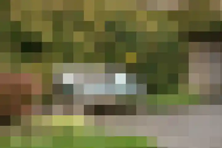 Jan van Embdenweg 22 Oosterbeek thumbnail 54