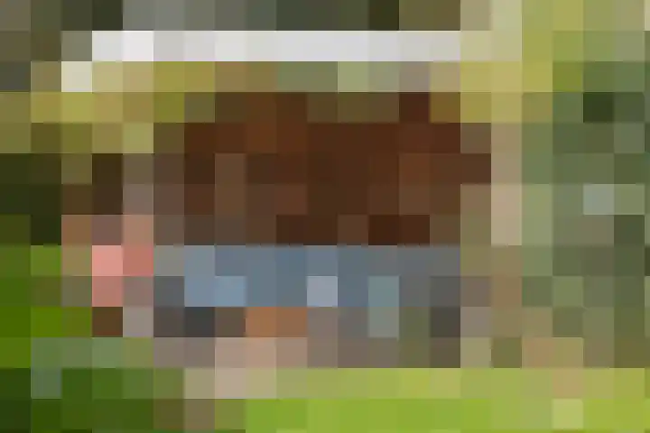 Jan van Embdenweg 22 Oosterbeek thumbnail 58