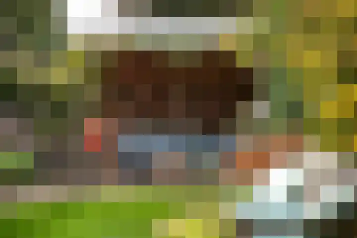 Jan van Embdenweg 22 Oosterbeek thumbnail 59