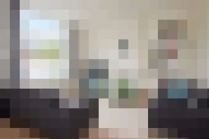 Jan van Embdenweg 22 Oosterbeek thumbnail 8
