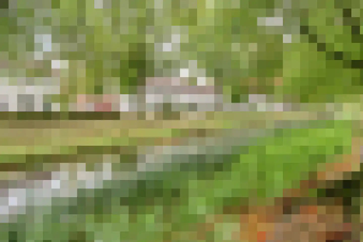 Jan van Eyckgracht 107 Eindhoven thumbnail 49