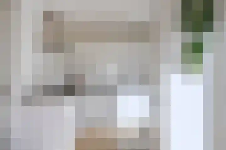 Jan van Eyckgracht 118 Eindhoven thumbnail 12