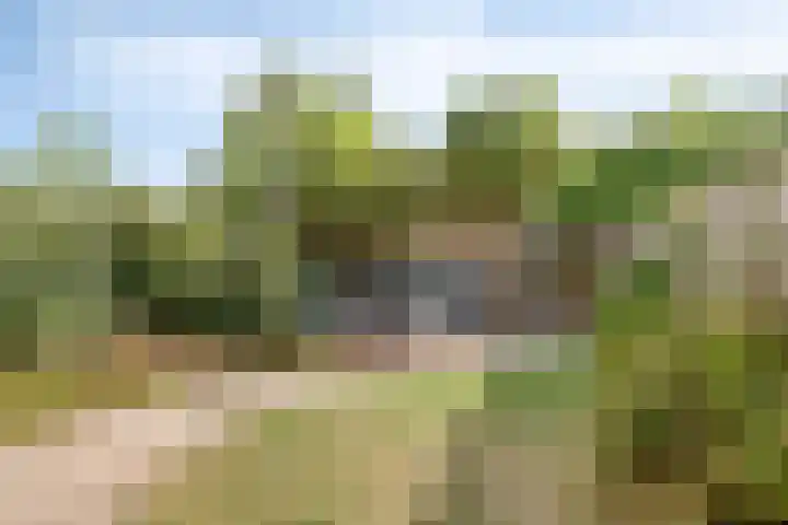 Jan van Eyckgracht 118 Eindhoven thumbnail 4