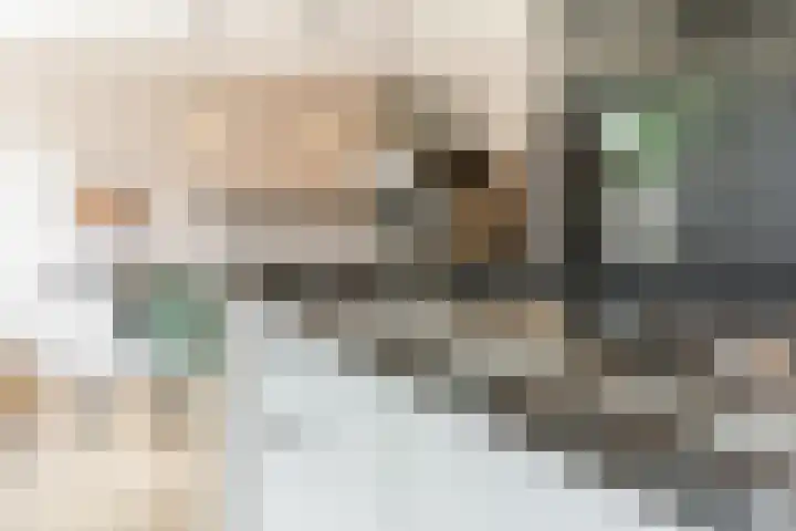 Jan van Eyckgracht 126 Eindhoven thumbnail 12