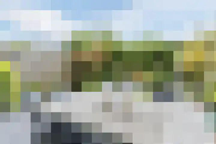 Jan van Eyckgracht 126 Eindhoven thumbnail 35