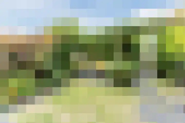 Jan van Eyckgracht 126 Eindhoven thumbnail 36