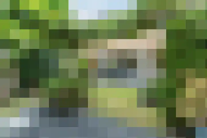 Jan van Eyckgracht 126 Eindhoven thumbnail 40