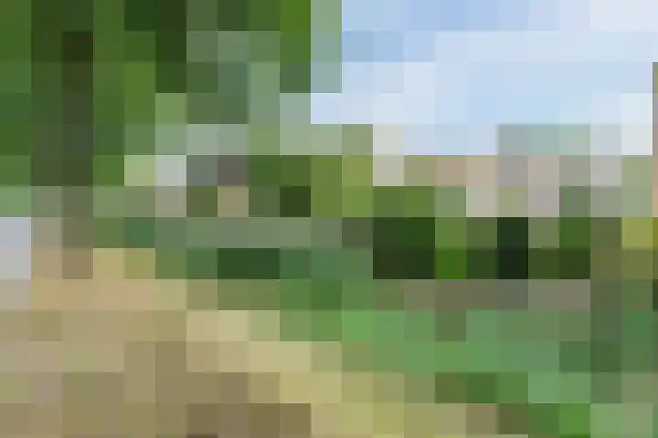 Jan van Eyckgracht 126 Eindhoven thumbnail 44