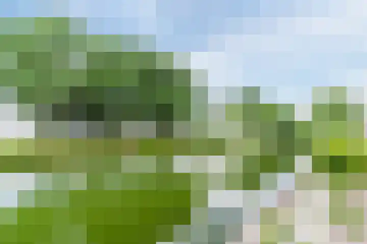 Jan van Eyckgracht 126 Eindhoven thumbnail 47