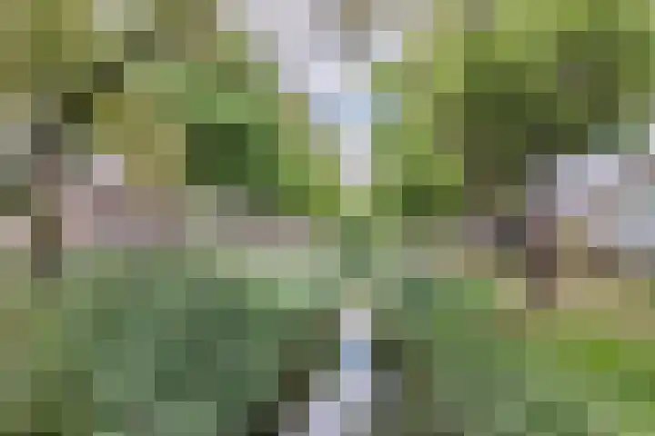 Jan van Eyckgracht 191 Eindhoven thumbnail 39