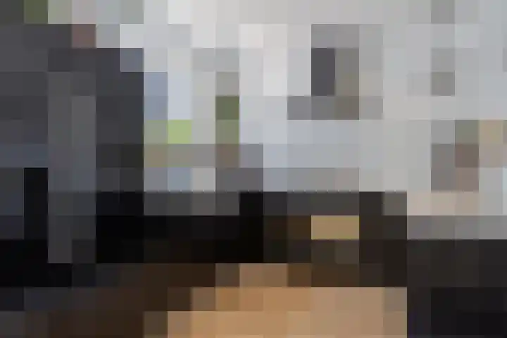 Jan van Eyckgracht 31 Eindhoven thumbnail 19