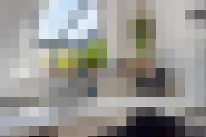 Jan van Eyckgracht 31 Eindhoven thumbnail 20