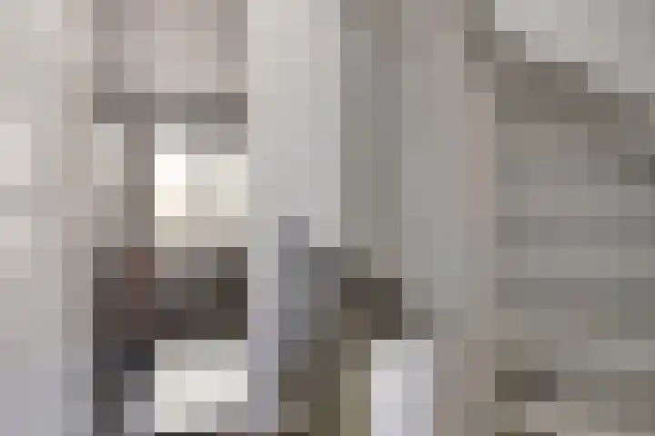 Jan van Eyckgracht 31 Eindhoven thumbnail 21