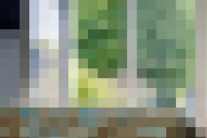 Jan van Eyckgracht 31 Eindhoven thumbnail 31
