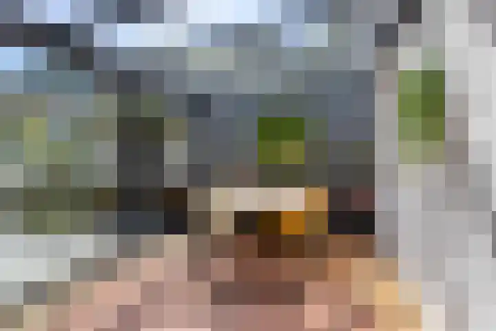 Jan van Eyckgracht 31 Eindhoven thumbnail 36