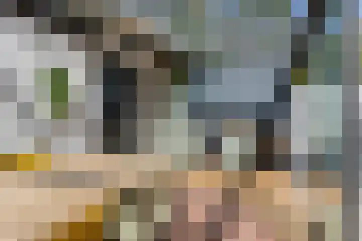 Jan van Eyckgracht 31 Eindhoven thumbnail 38