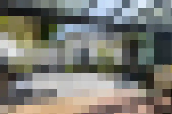 Jan van Eyckgracht 31 Eindhoven thumbnail 39