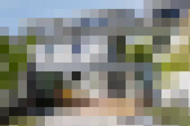 Jan van Eyckgracht 31 Eindhoven thumbnail 40