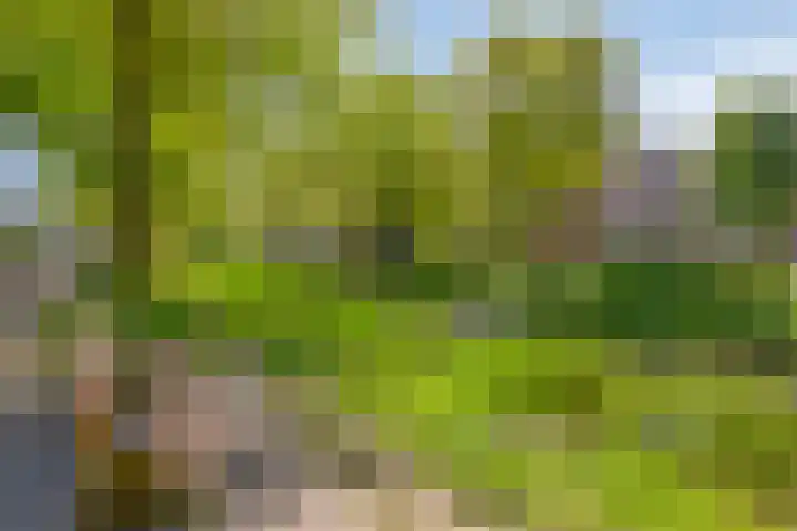 Jan van Eyckgracht 31 Eindhoven thumbnail 42