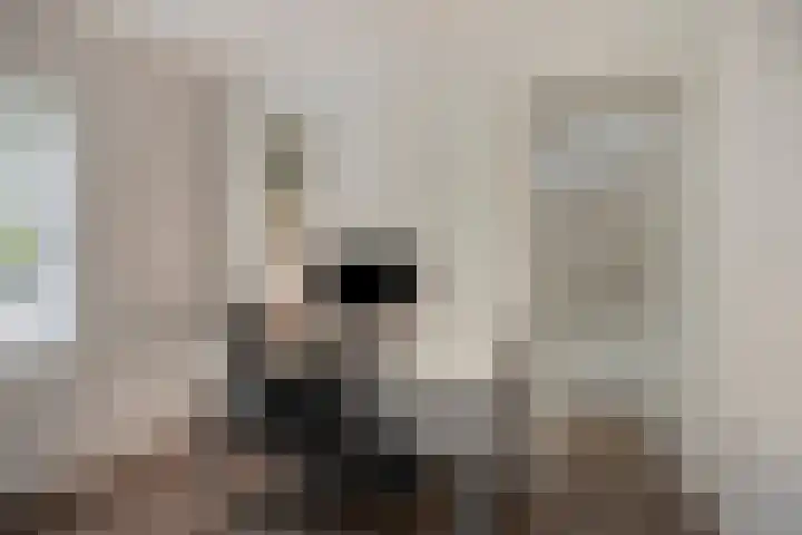 Jan van Eyckgracht 83 Eindhoven thumbnail 21