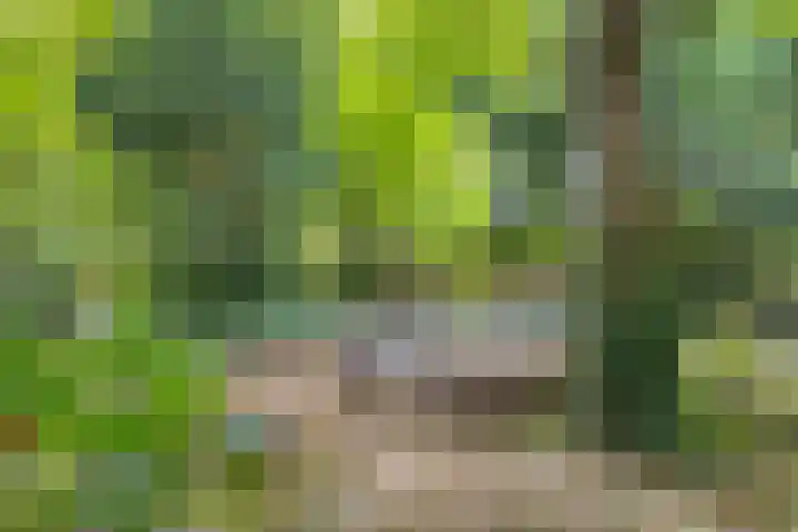 Jan van Eyckgracht 83 Eindhoven thumbnail 32