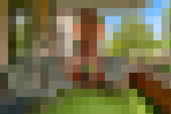 Jan van Eycklaan 226 Bilthoven thumbnail 25