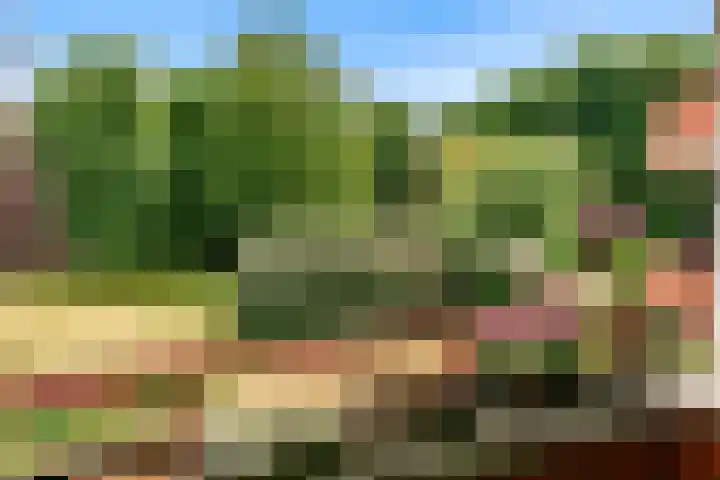 Jan van Eycklaan 226 Bilthoven thumbnail 26