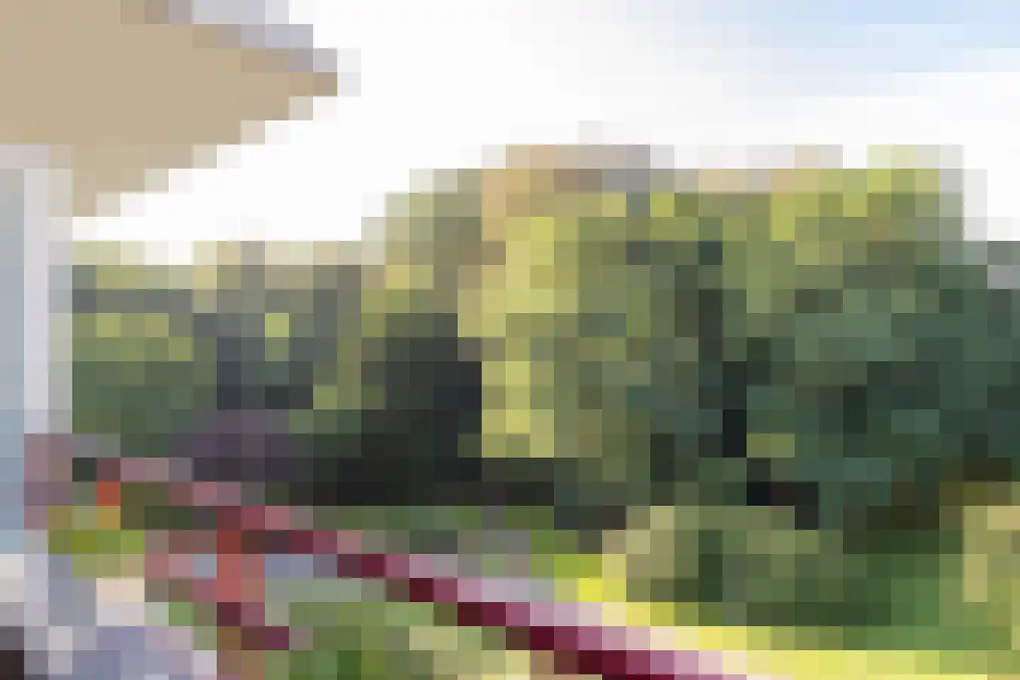 Jan van Eycklaan 260 Bilthoven thumbnail 30