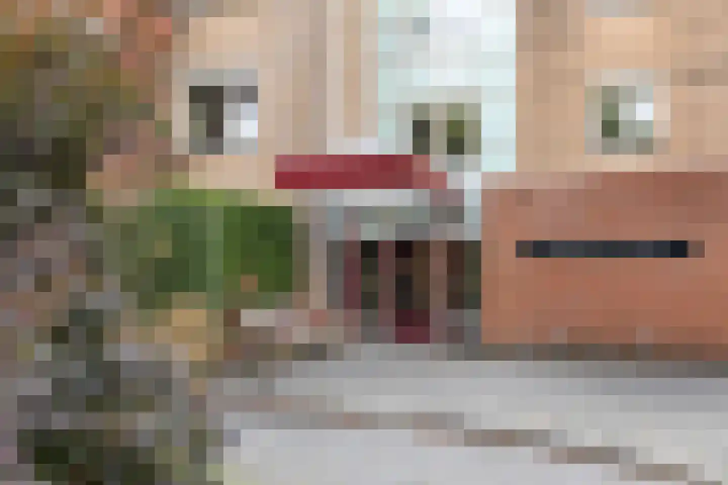 Jan van Eycklaan 260 Bilthoven thumbnail 4