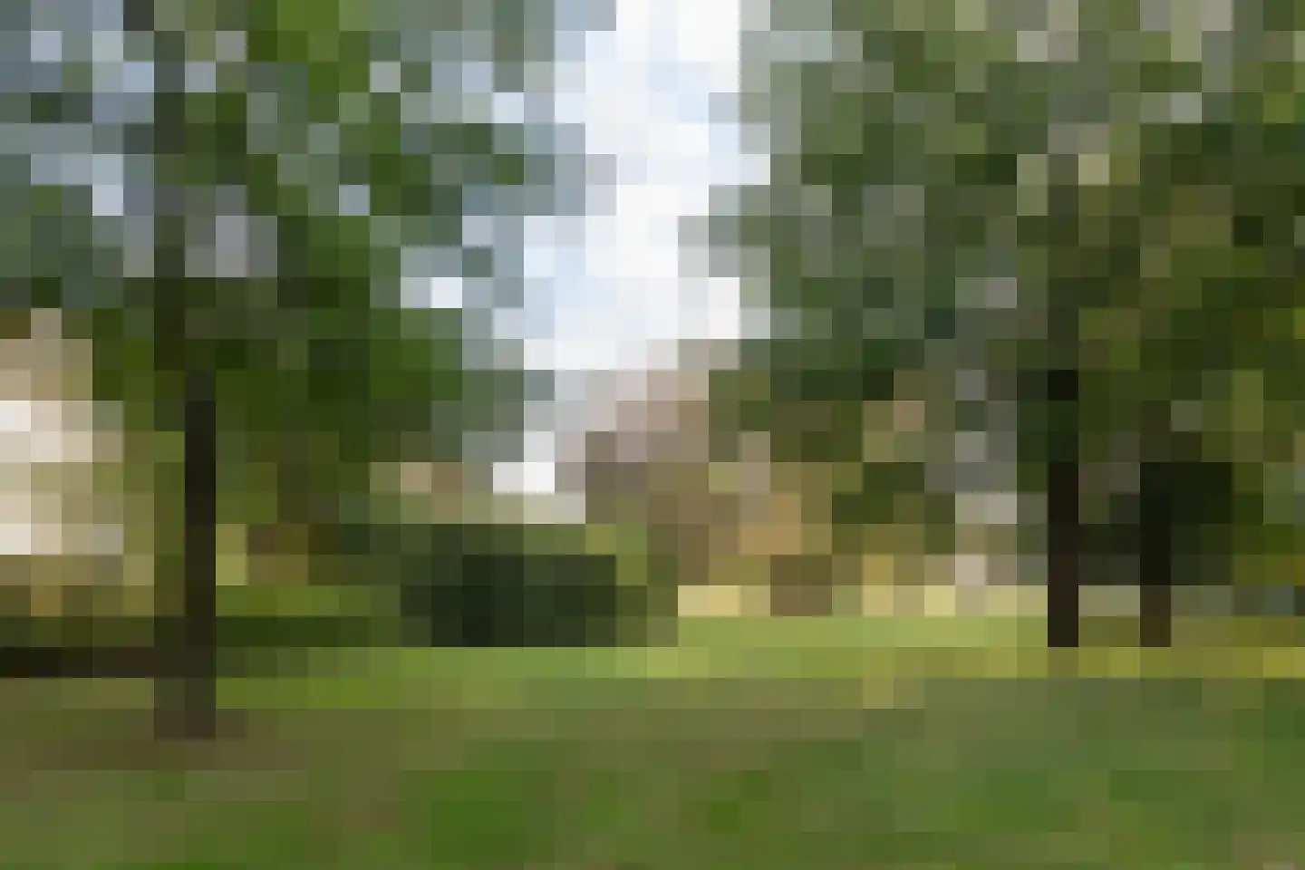Jan van Eycklaan 260 Bilthoven thumbnail 46