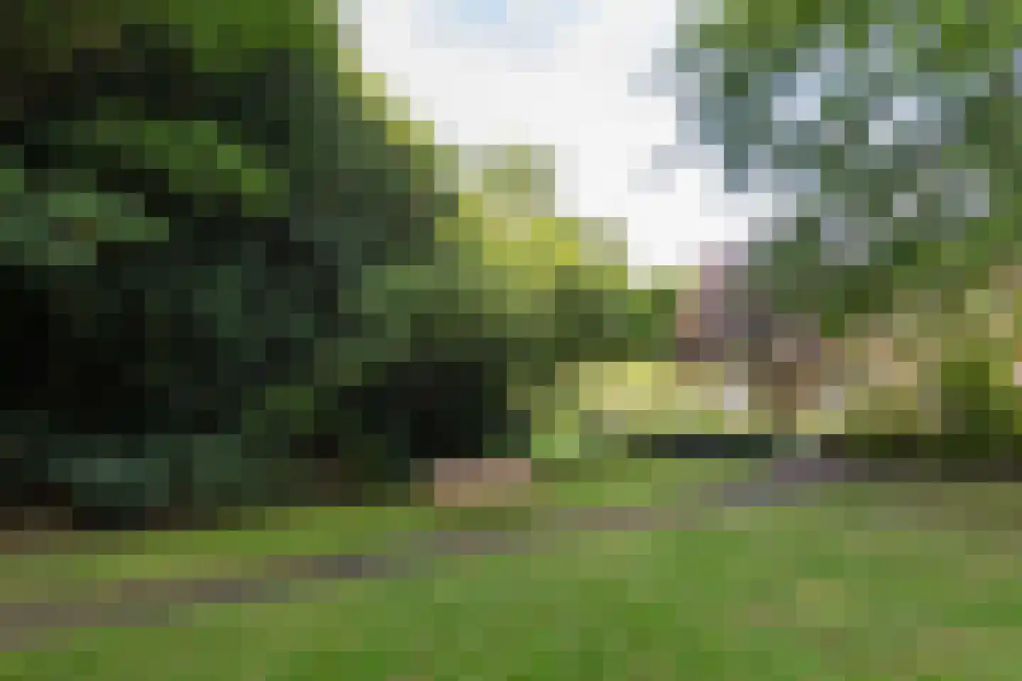 Jan van Eycklaan 260 Bilthoven thumbnail 47