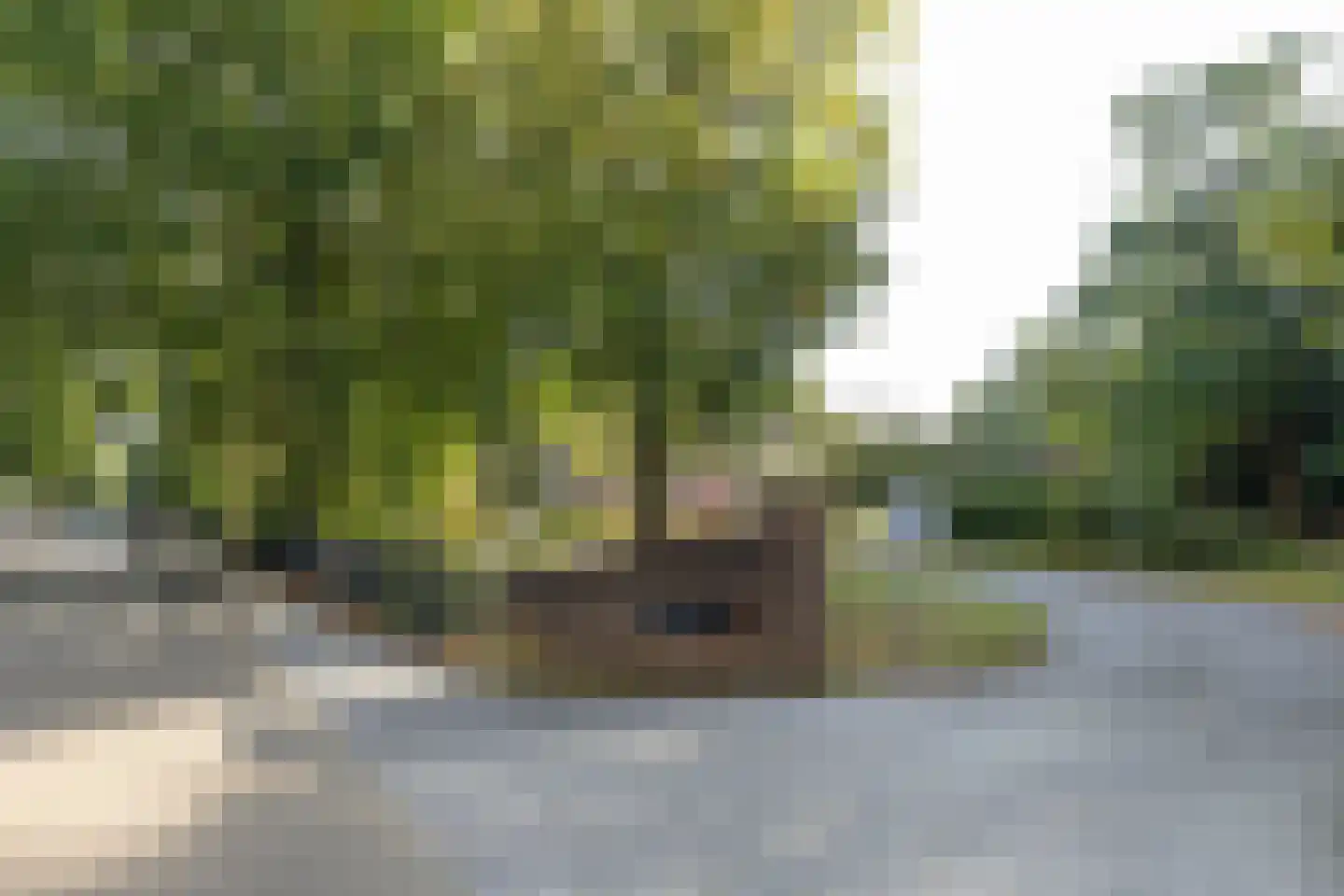 Jan van Eycklaan 260 Bilthoven thumbnail 48