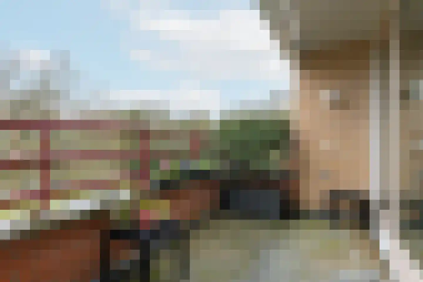 Jan van Eycklaan 268 Bilthoven thumbnail 19