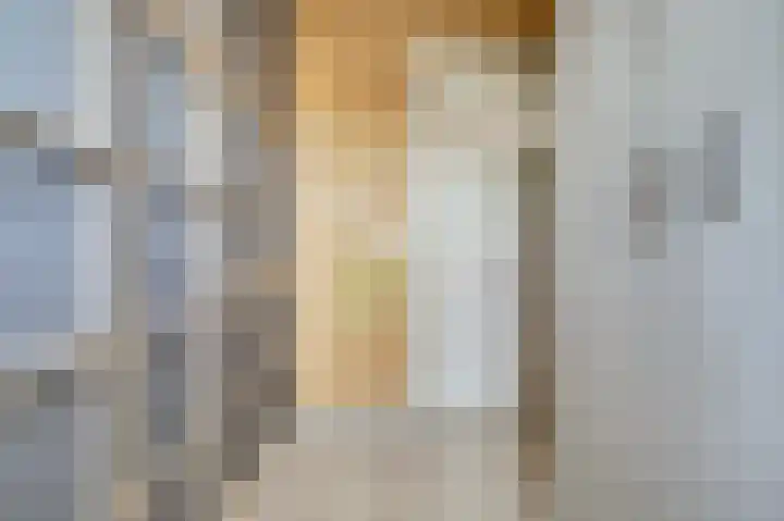 Jan van Eyckpad 8 Spijkenisse thumbnail 17